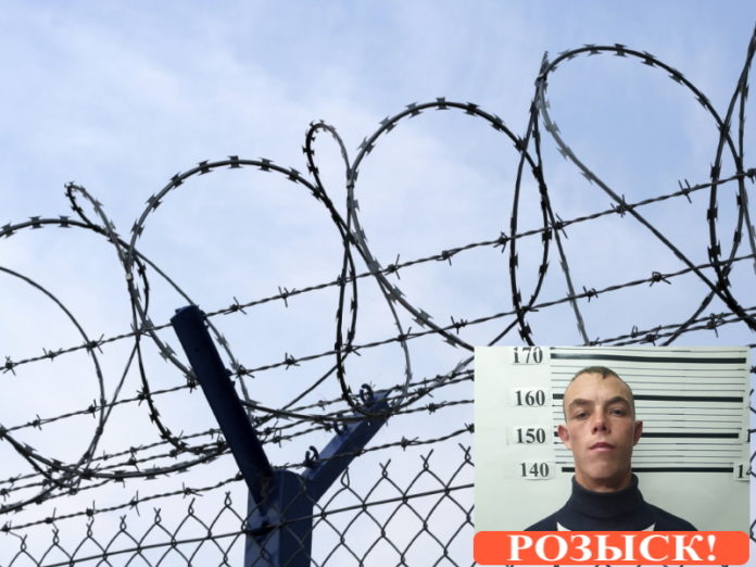 brycev