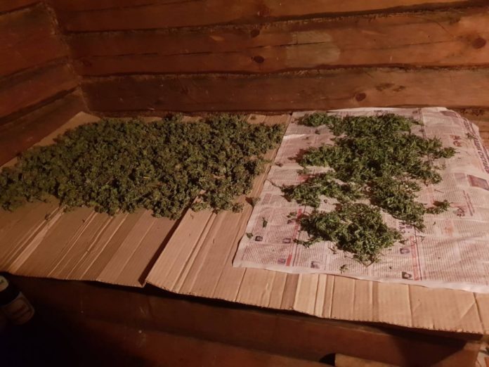 marihuana