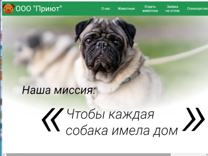 Без имени-1