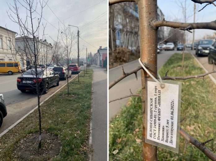 машины