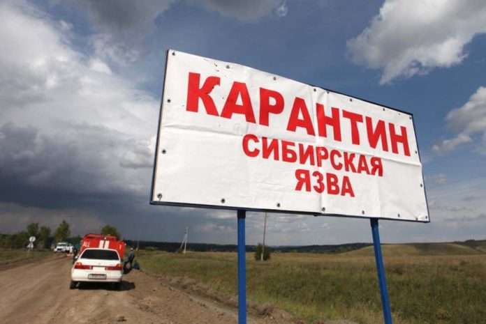 karantin