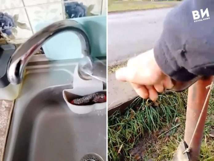 Можарка без воды
