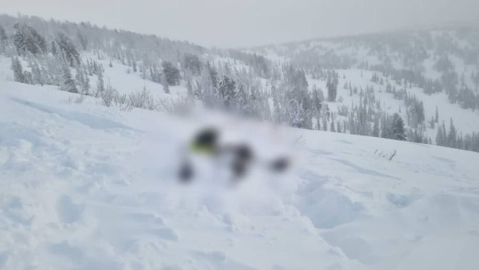 приисковый